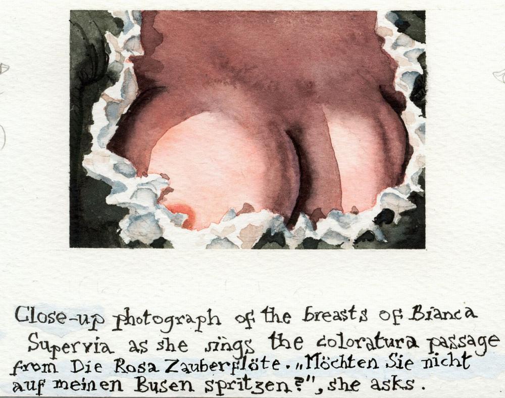 The Coloratura of Bianca Supervia