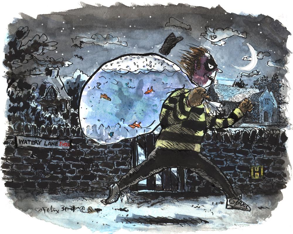 Pond Burglar