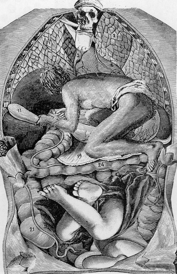 Surrealismus: Guts